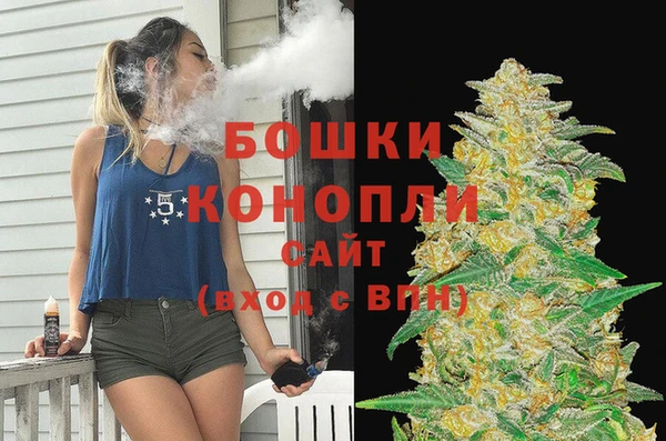 мдпв Ладушкин