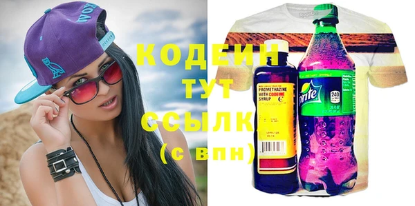 мдпв Ладушкин