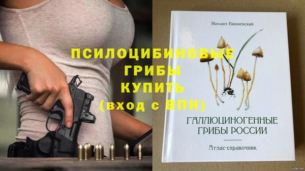 твердый Лабытнанги