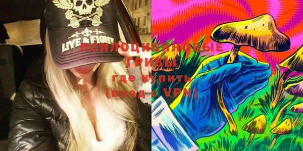 твердый Лабытнанги