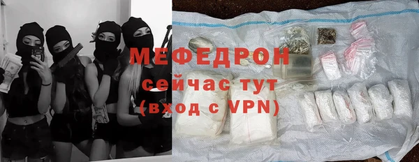 мдпв Ладушкин