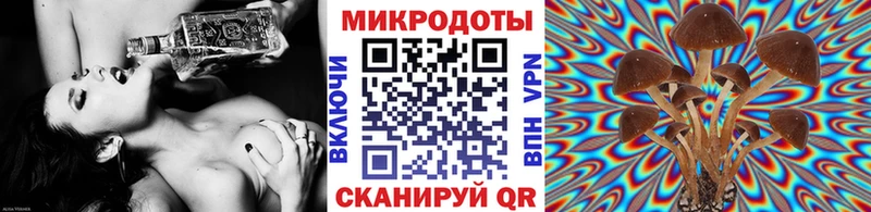 дарнет шоп  Пятигорск  площадка телеграм  Псилоцибиновые грибы Magic Shrooms 
