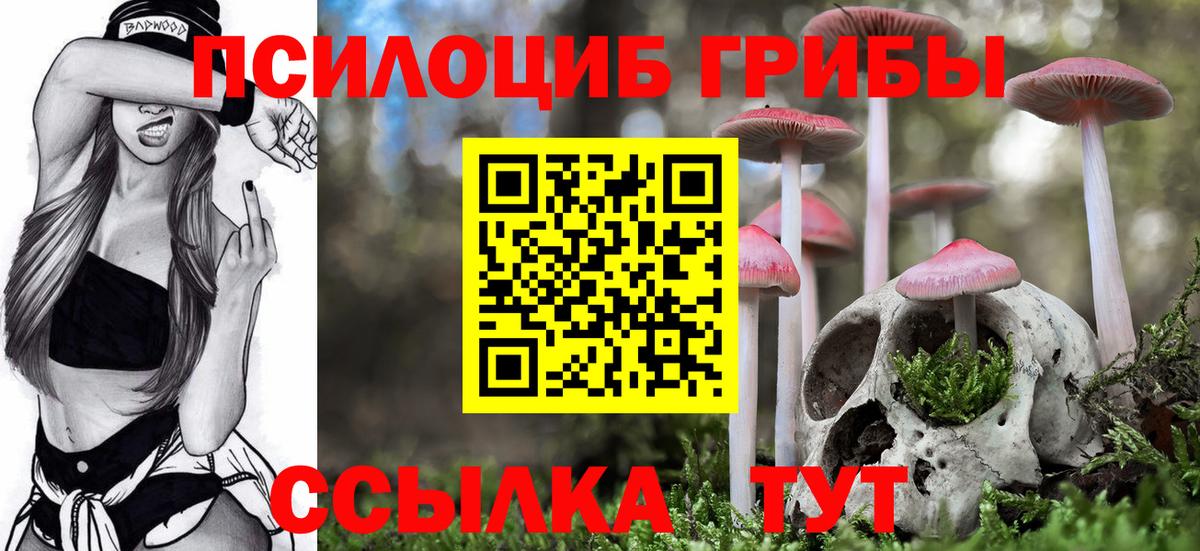 Пятигорск  Галлюциногенные грибы Psilocybe  Галлюциногенные грибы ЛСД  Вход с VPN 