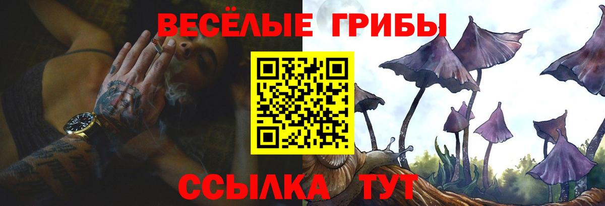 Галлюциногенные грибы Psilocybe  закладки  Пятигорск 